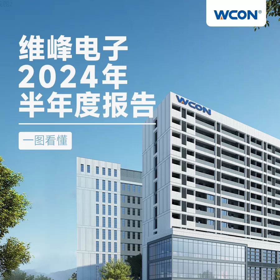 2024年半年度报告